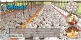 Poultry farms Water Softener Suppliers in Nizamabad