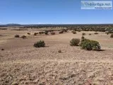 0.43 Acres for Sale in Concho AZ
