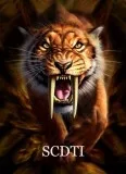 CDL Training