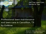 Professional lawn maintenance and lawn care in Carrollton TX by 