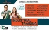 CCNA Training in Mohali Chandigarh