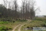 Book Rajaji National Park Safari Packages