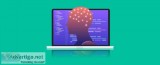 Searching For an Artificial Intelligence Expert