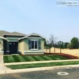 LandscapingYard careClean-ups
