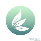 Most Potent CBD Products