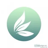 Most Potent CBD Products