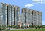 Apartments with Luxurious lifestyle in Ace City 42.46 Lac 875048