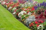 Landscape planning Houston