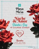 Valentine s Day special - 4 Course Dinner with Playa Mesa
