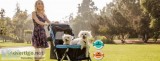 Get Extra Large Pet Stroller At Pet Rover