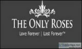 Buy Long Lasting Flowers