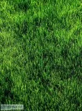Land and Lawn Services