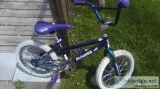 MAGNA BLUE GIRLS BIKE (Ages 5-8)