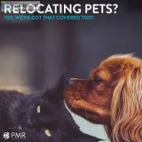 Safe Comfortable and Reliable Pet Shifting Service