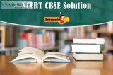 NCERT Solutions CBSE Class 12 Biotechnology