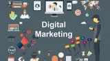 Best Digital Marketing Consultant  Sky-Digital Marketing