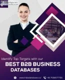 India Database - Bulk Database provider  Leading database Suppli