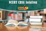 NCERT Solutions CBSE Class 12 Biology