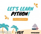 PROFESSIONAL TRAINING IN PYTHON AT VSITDWARKA