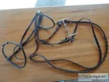 COURBETTE HORSE BRIDLE