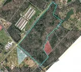 55 Pastoral acres for your Estate on Bryant Quarter Rd