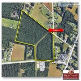 Longs Development Tract 1-29.47 Acres-For Sale-Longs SC
