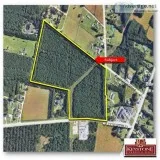 Longs Development Tract 1-29.47 Acres-For Sale-Longs SC