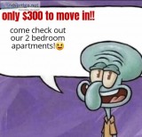 300 moves you in come check these 2 bedroom apartments