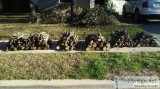 Firewood For Sale