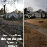 Tree Work Removal Services