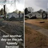 Tree Work Removal Services