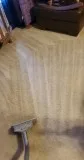 Professional carpet cleaning. truck mounted steam cleaning