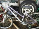 medium Giant bike for women girls