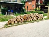 Looking for the services of Stump Grinding in Elmira