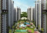 Attaractive Special Offers in Ace Divino 38.5 Lacs  8750-488-588