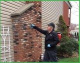 Emergency Residential Pest Control Services in Albany NY