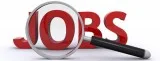 Incredible work opportunity to work according to your rules and 