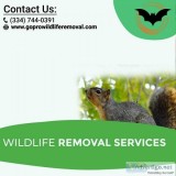 Wildlife Removal Services