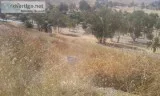 .11 Acres for Sale In lake Elsinore CA