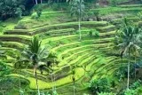 Holidays at some of the most exotic destinations