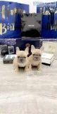 French Bulldog Pups ..
