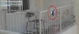 Pigeon Safety Nets in Hyderabad