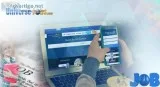 Senior Full-Stack Developer