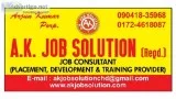 Required SEO Digital Marketing Executive Min 2-5 Years Exp. Moha