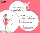 Airline course in india  aviation academy in india