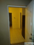 Aptment for rent