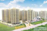 M3M Woodshire  3 BHK Ready to Move Luxury Flats in Gurgaon