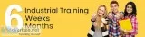 Top 10 IT Training Institute in Delhi  MCM Infotech