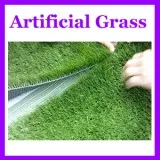 Best artificial turf installation in Perth