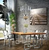 Modern Stainless Steel Metal Dining Chair - Armchair - Set of 2